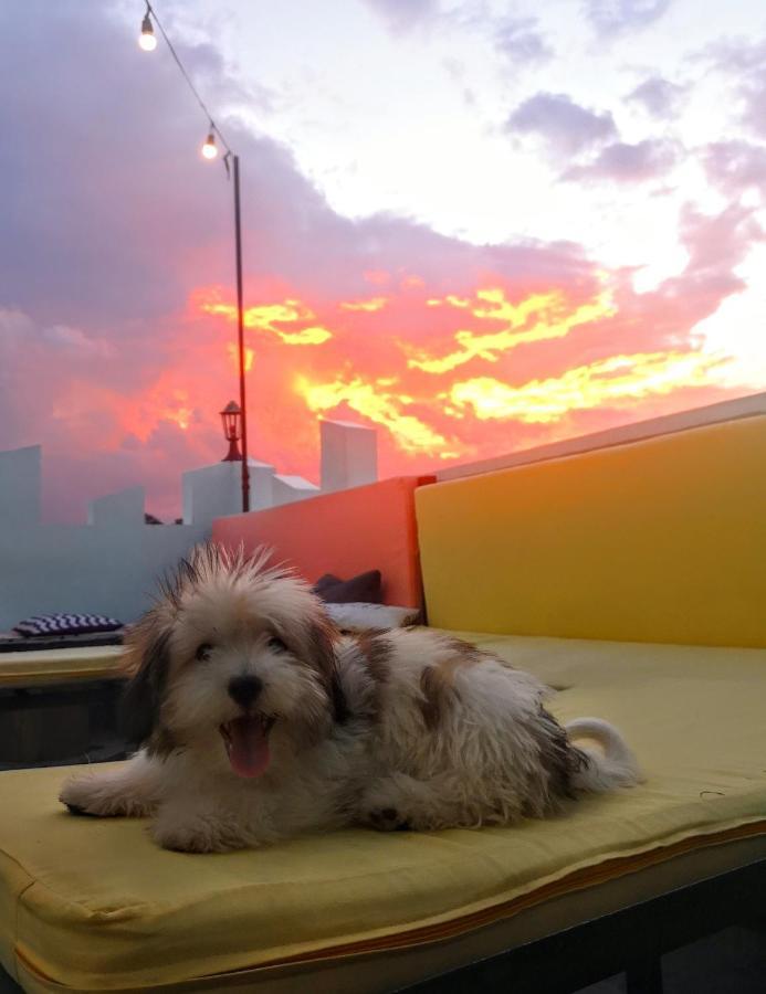 Antwet Backpacker'S Inn & Rooftop Bar Dumaguete City Esterno foto