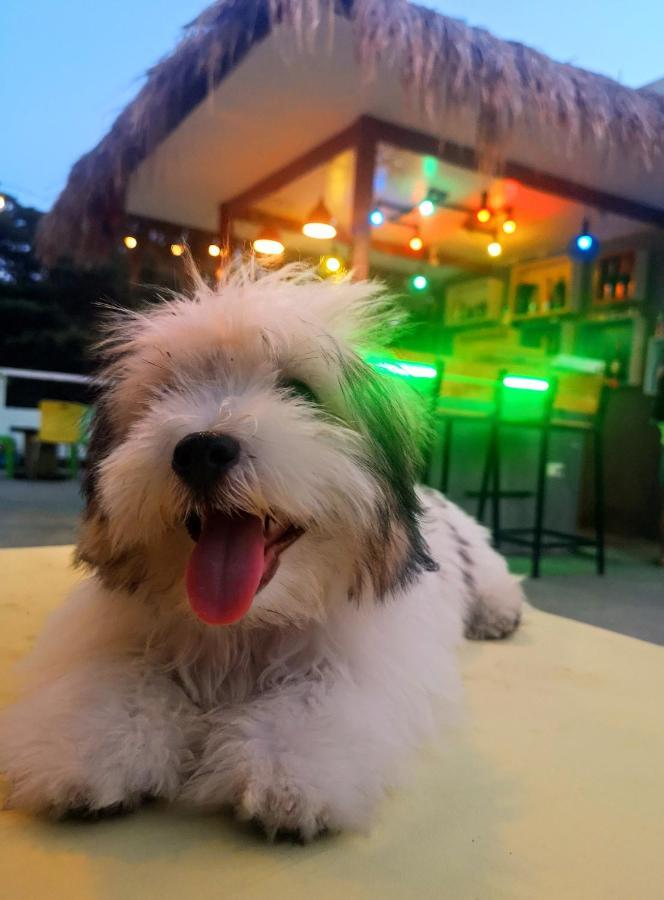 Antwet Backpacker'S Inn & Rooftop Bar Dumaguete City Esterno foto